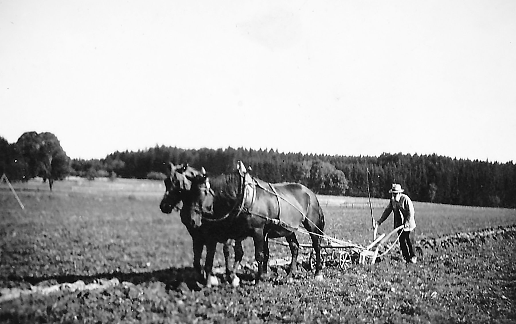 Beim Pflügen auf dem Birkhof
