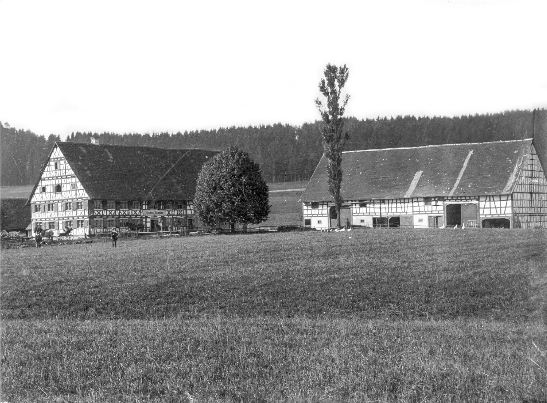 „Taffern-Wirts-Hauß” Gampenhof (links) mit Friedenslinde und Zehntscheuer (um 1900)