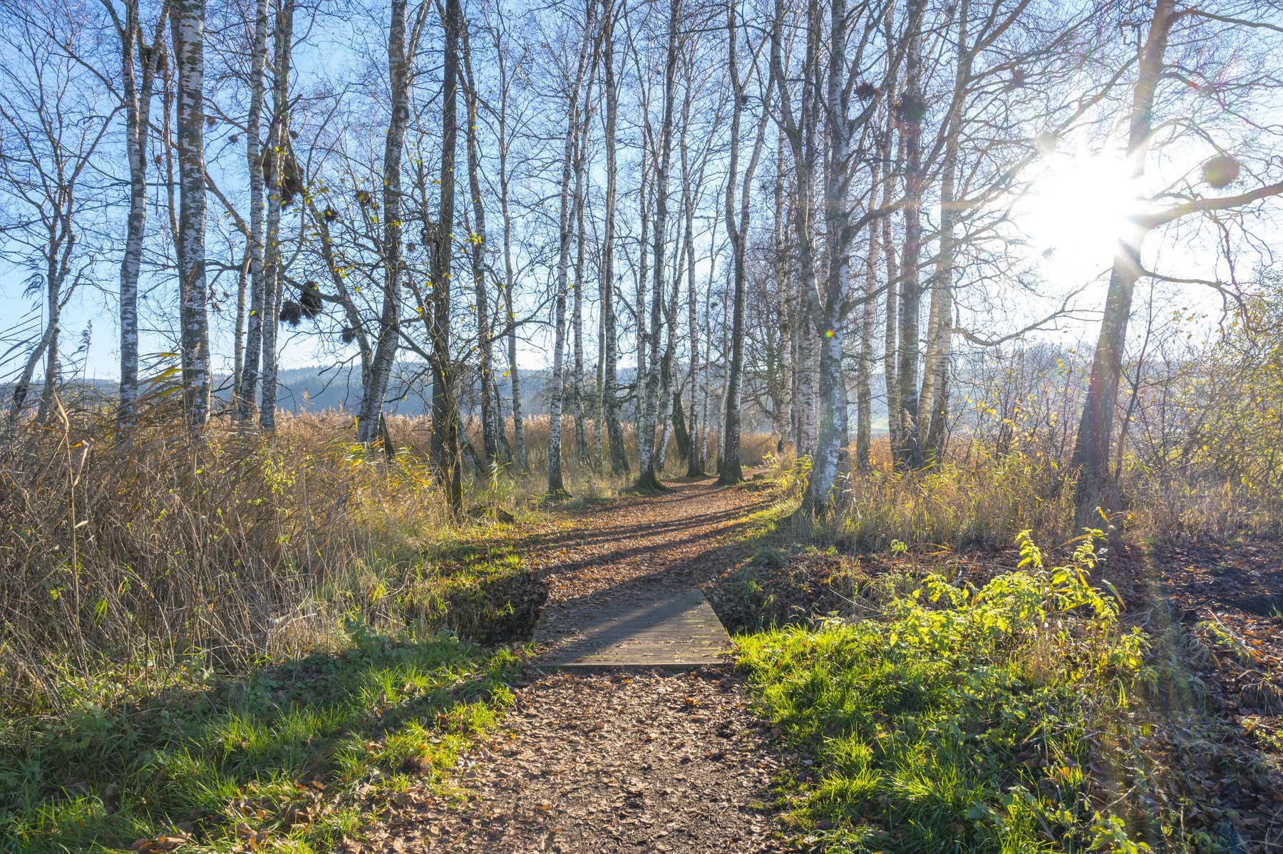 Rundwanderweg Illmensee